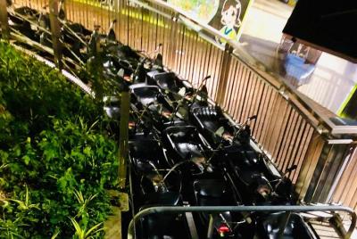 Disfruta del Skyline Luge y Skyride