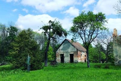 En la pista de la gente del bosque.