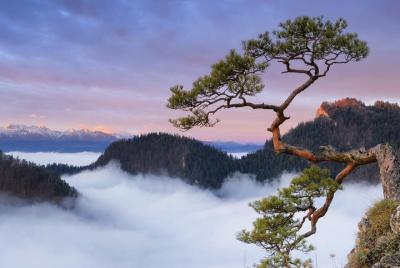 5 increíbles parques nacionales en 6 días