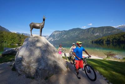 Tour de ciclismo autoguiado desde Pokljuka hasta el lago Bohinj