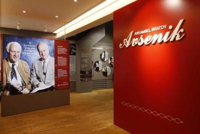 Pruebe la cocina tradicional eslovena y el museo en Avsenik Broth