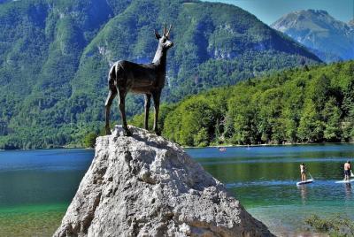 Magia de los Alpes, Triglav NP con el Lago Bohinj y Cascada Savic Magia de los Alpes, Triglav NP con el Lago Bohinj y Cascada Savic
