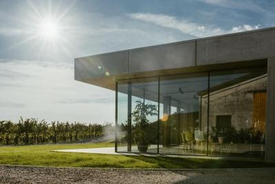 Experiencia de cata de Vipava Valley