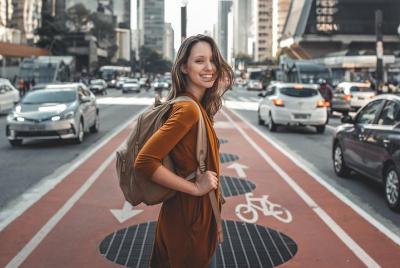 Traslado privado al aeropuerto: aeropuerto de Ljubljana Joze Pucn