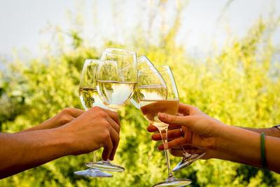 Tour por el vino Franschhoek y Stellenbosch desde Ciudad del Cabo