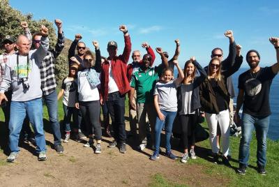 Excursión de día completo a Cape Point con cata de vinos