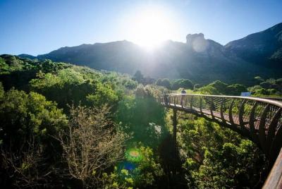 Las granjas de vino en Constantia y los jardines de Kirstenbosch 
