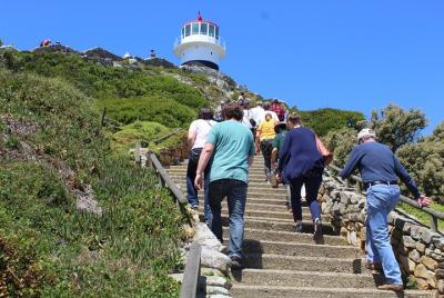 Excursión de día completo a Cape Point y Cabo de Buena Esperanza