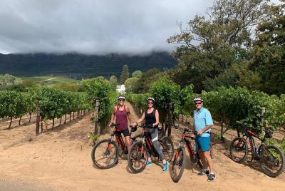 Tour por el valle de Constantia y los viñedos