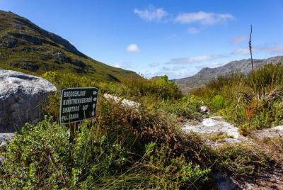 Caminata de día completo de Stellenbosch