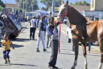 Tour a pie de Bonteheuwel 'Township Development Taster'
