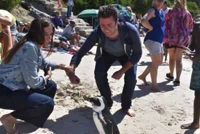 PVT Peninsula Tour Classic de día completo incl. Todas las tarifa