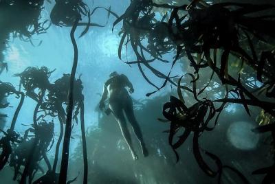 Aventura sostenible de vida marina con complemento de snorkel