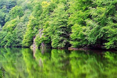 Desde Ereván con almuerzo: explore los hermosos lagos Sevan y Par