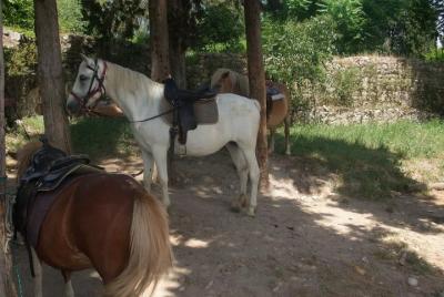 Experiencia romana a caballo