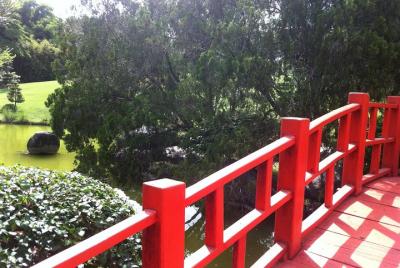 Los tesoros naturales de Santo Domingo