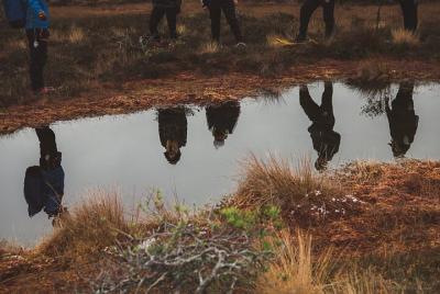 Excursión de senderismo en pantano