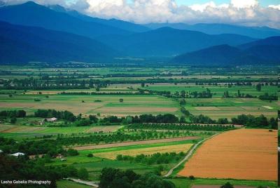 Viaje grupal a Kakheti, Sighnaghi Viaje grupal a Kakheti, Sighnaghi