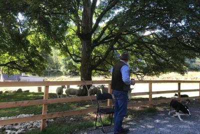 Un día en Wicklow con un guía privado! Paisajes, historia, y send