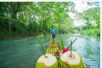 Martha Brae Rafting Tour Privado