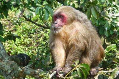 Tour Catemaco y Los Tuxtlas saliendo desde Veracruz ó Boca del Rí