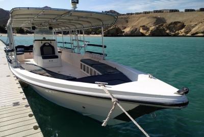 Esnórquel y paseo en barco en Turtle Bay Omán