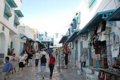 Visita guiada de medio día por Cartago y Sidi Bou Said
