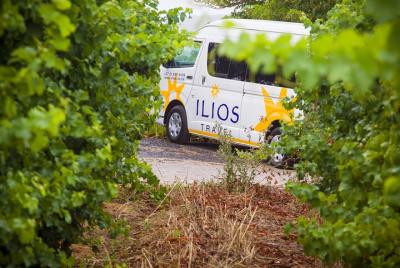 Medio día de Cape Winelands