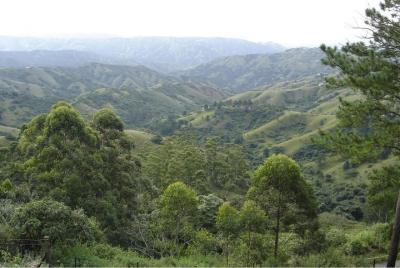 Excursión por la costa de Durban: Valle de las 1000 colinas y Phe Excursión por la costa de Durban: Valle de las 1000 colinas y Phe