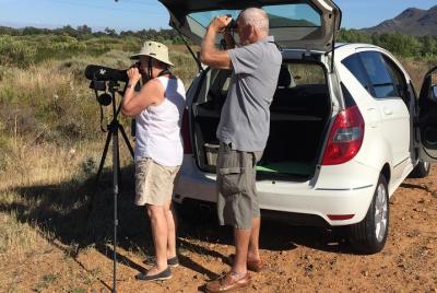 Tours de observación de aves