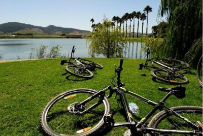 Tour en bicicleta de medio día por los viñedos de Franschhoek