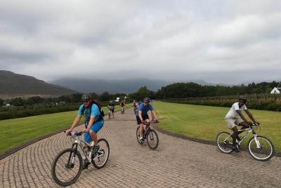 experiencia verdadera vinos y tours por el municipio