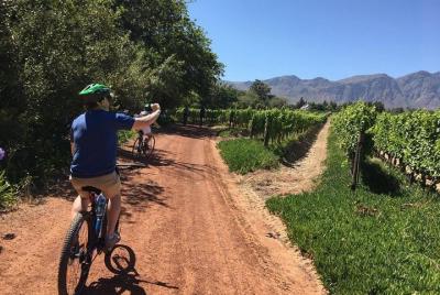 Experiencia Franschhoek 3 Horas