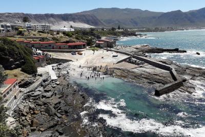 Hermanus Cliffpath Walk