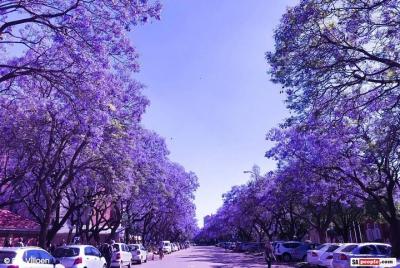 Tour especial de Pretoria