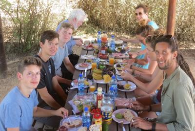 Safari de elefante Addo de día completo con el rey Elvis
