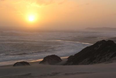 Las mejores playas de Sundowner desde Port Elizabeth Las mejores playas de Sundowner desde Port Elizabeth