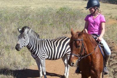 Safari a caballo Safari a caballo