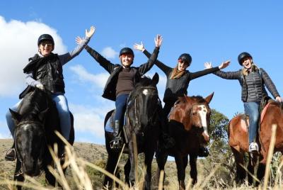 Safari a caballo de 90 min en Harties