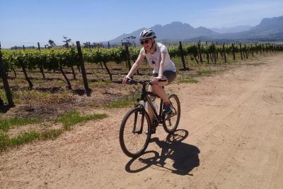 Tour en bicicleta de lujo Stellenbosch Winelands ©