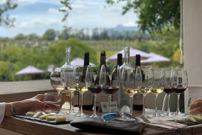 Excursión de un día de chocolate, queso, oliva y vino desde Stell