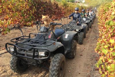 Sendero para bicicletas Quad de 1 hora en la naturaleza