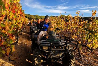 1,5 horas Nature Quad Bike Trail