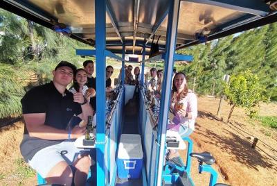 Lo más divertido que puedes tener en una E-Bike. Catas de vinos, 