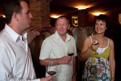 Vamos a aprender sobre Wine Tour - Stellenbosch