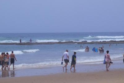 Excursión de un día al Parque Humedal de Isimangaliso y Cape Vida