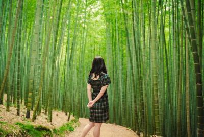 Tour fotográfico en grupo pequeño por el este de Busan [Max 4]