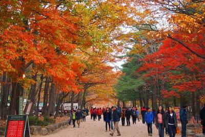 La belleza del follaje de otoño de Corea Descubre 11 días 10 noch