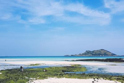 Recorrido en autobús por Jeju West Course (almuerzo incluido), ex