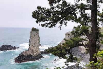 Jeju South Course - (Almuerzo incluido) Tour en autobús, tours de